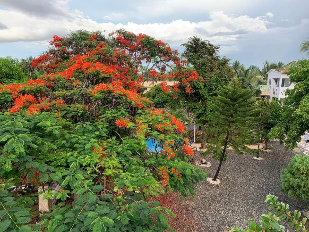 Villa Marcia Boca Chica Exterior foto